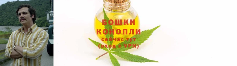 дарк нет состав  хочу наркоту  Кропоткин  Канабис White Widow 